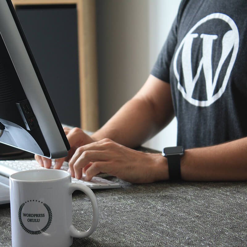 Wordpress Developers