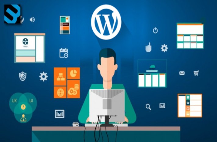 What does a WordPress developer do